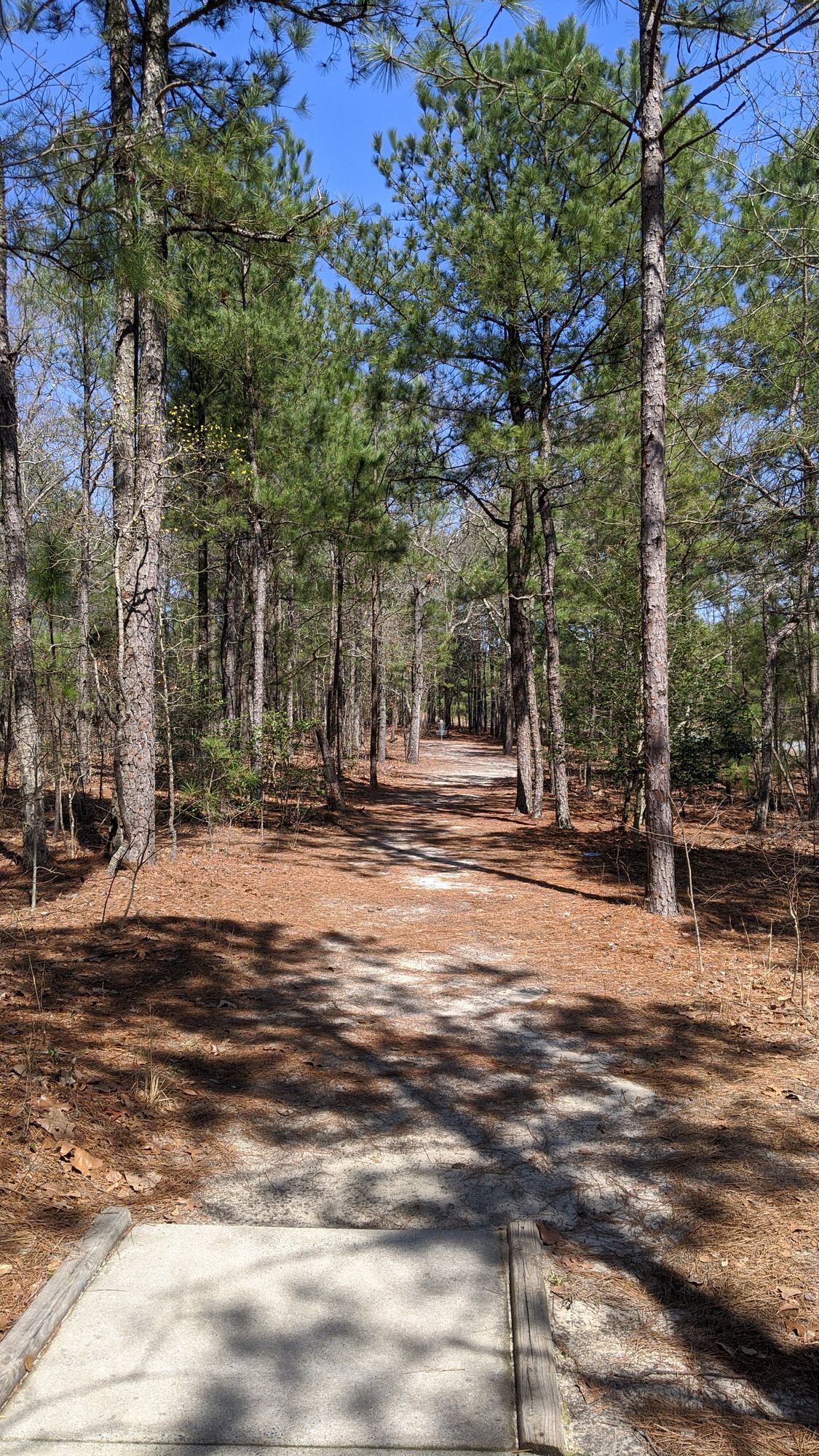Anderson Creek Lillington, NC UDisc Disc Golf Course Directory