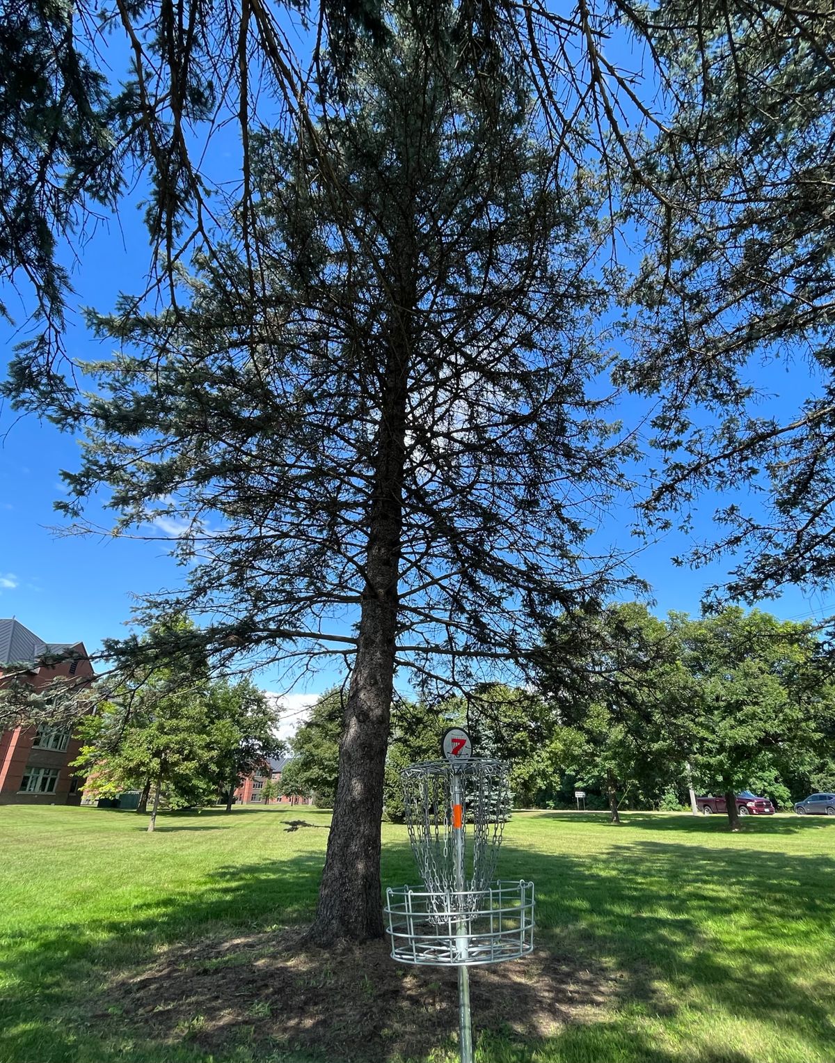saint-michael-s-college-colchester-vt-udisc-disc-golf-course-directory
