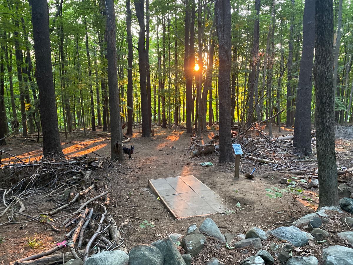 Orenaug Park Disc Golf Woodbury, Connecticut UDisc Disc Golf Course