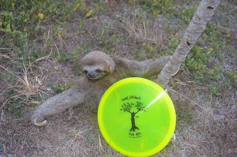 Costa Rica Disc Golf Your Guide to Disc Golf in Costa Rica UDisc