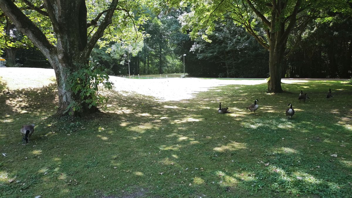 Recklinghausen, Sdpark - Recklinghausen, Germany | UDisc Disc Golf Course  Directory