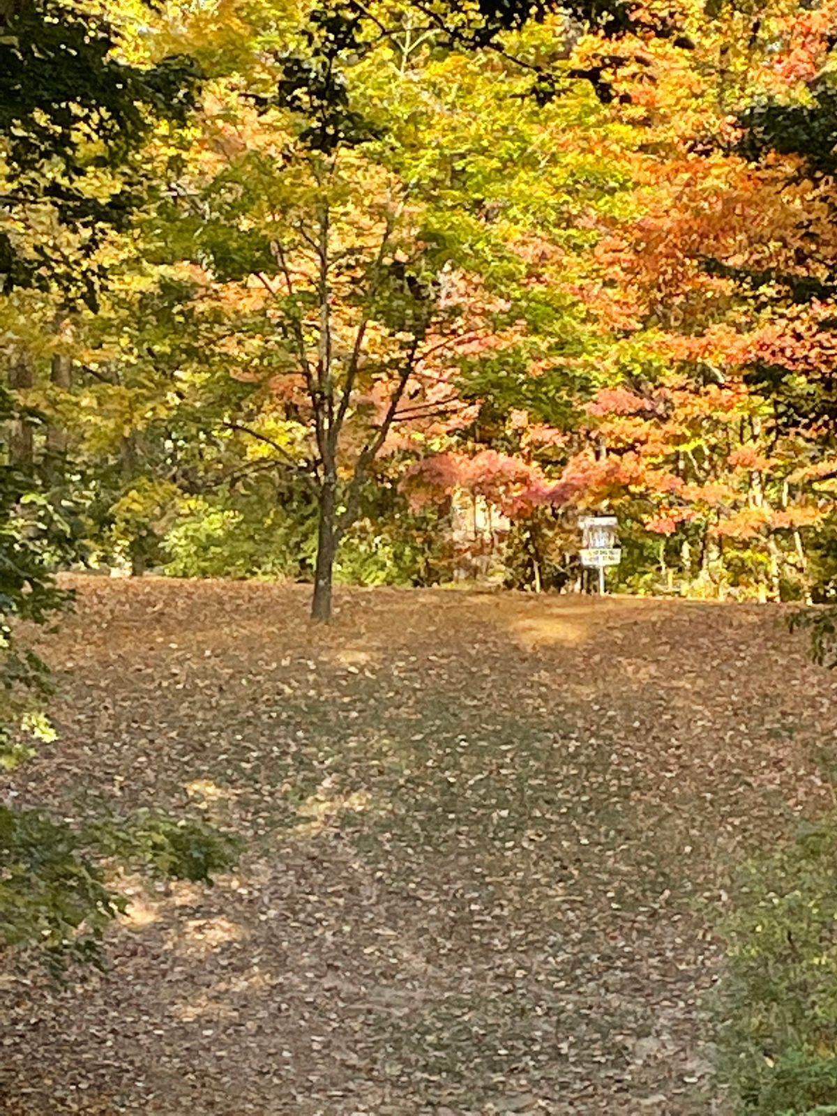 Mesker Park Evansville, IN UDisc Disc Golf Course Directory UDisc