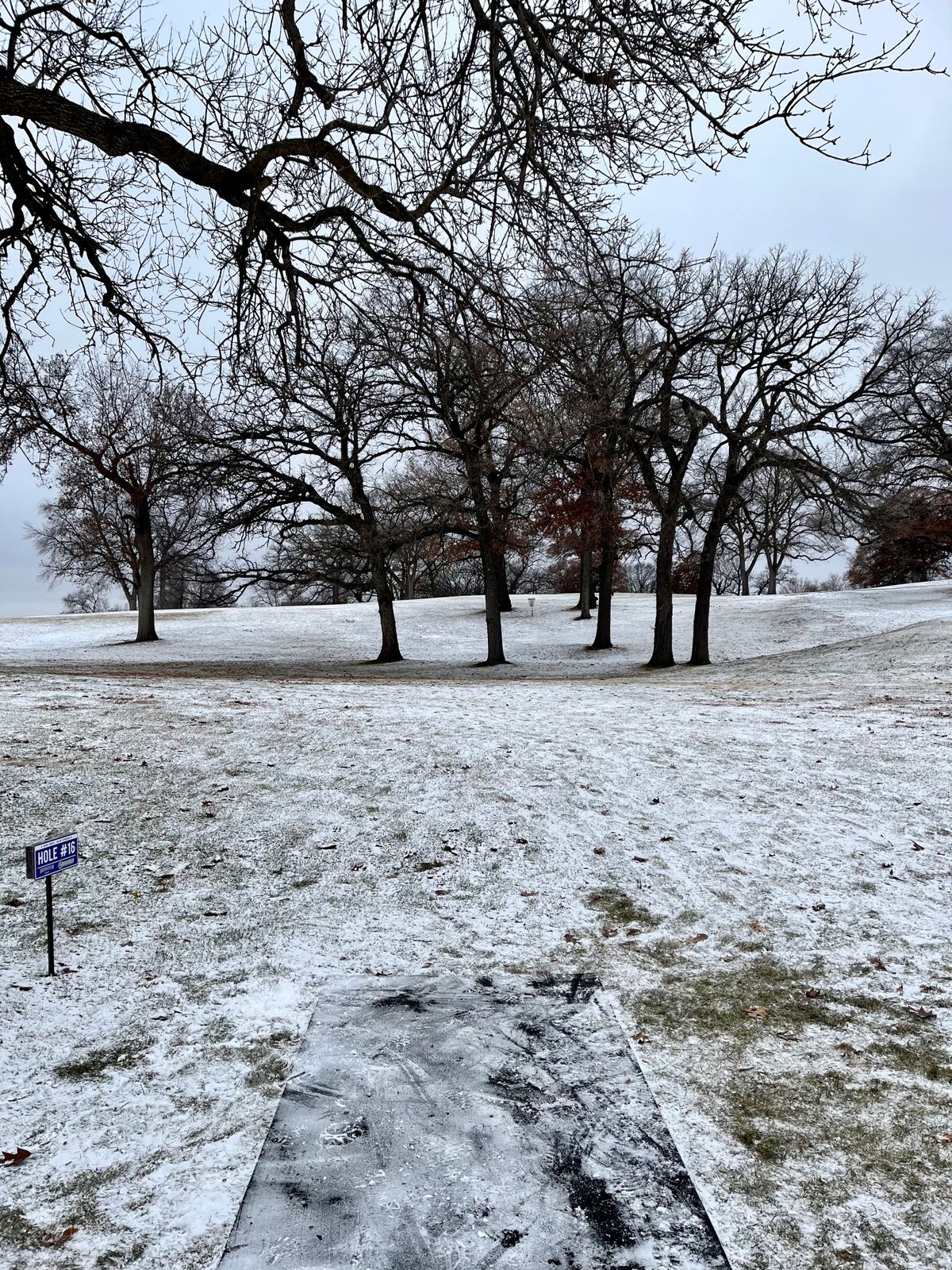 Brookview Blue Golden Valley, MN UDisc Disc Golf Course Directory