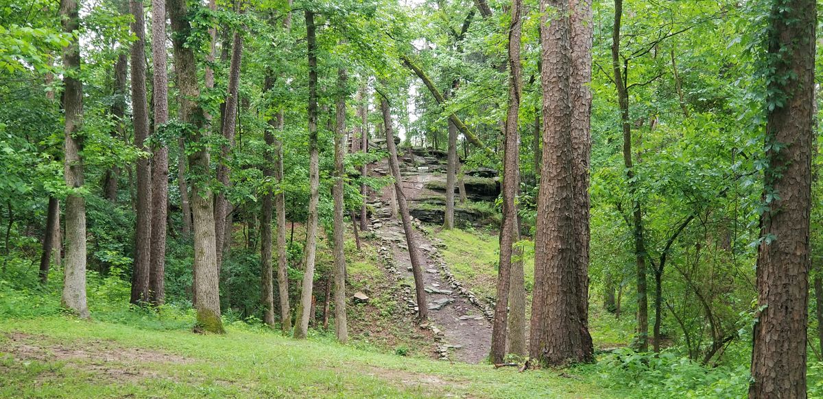 Pirate's Ridge Calico Rock, AR UDisc Disc Golf Course Directory