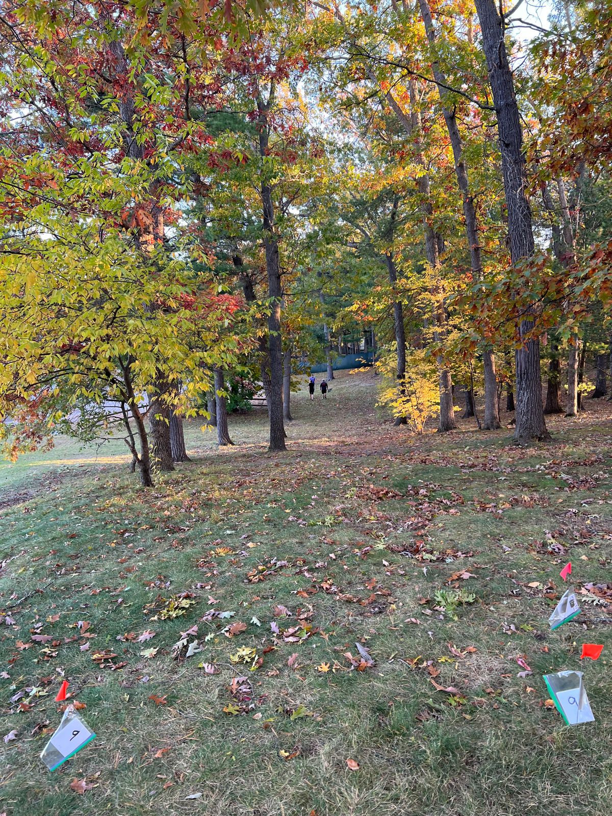 Grand Traverse County Civic Center Traverse City, MI UDisc Disc Golf Course Directory