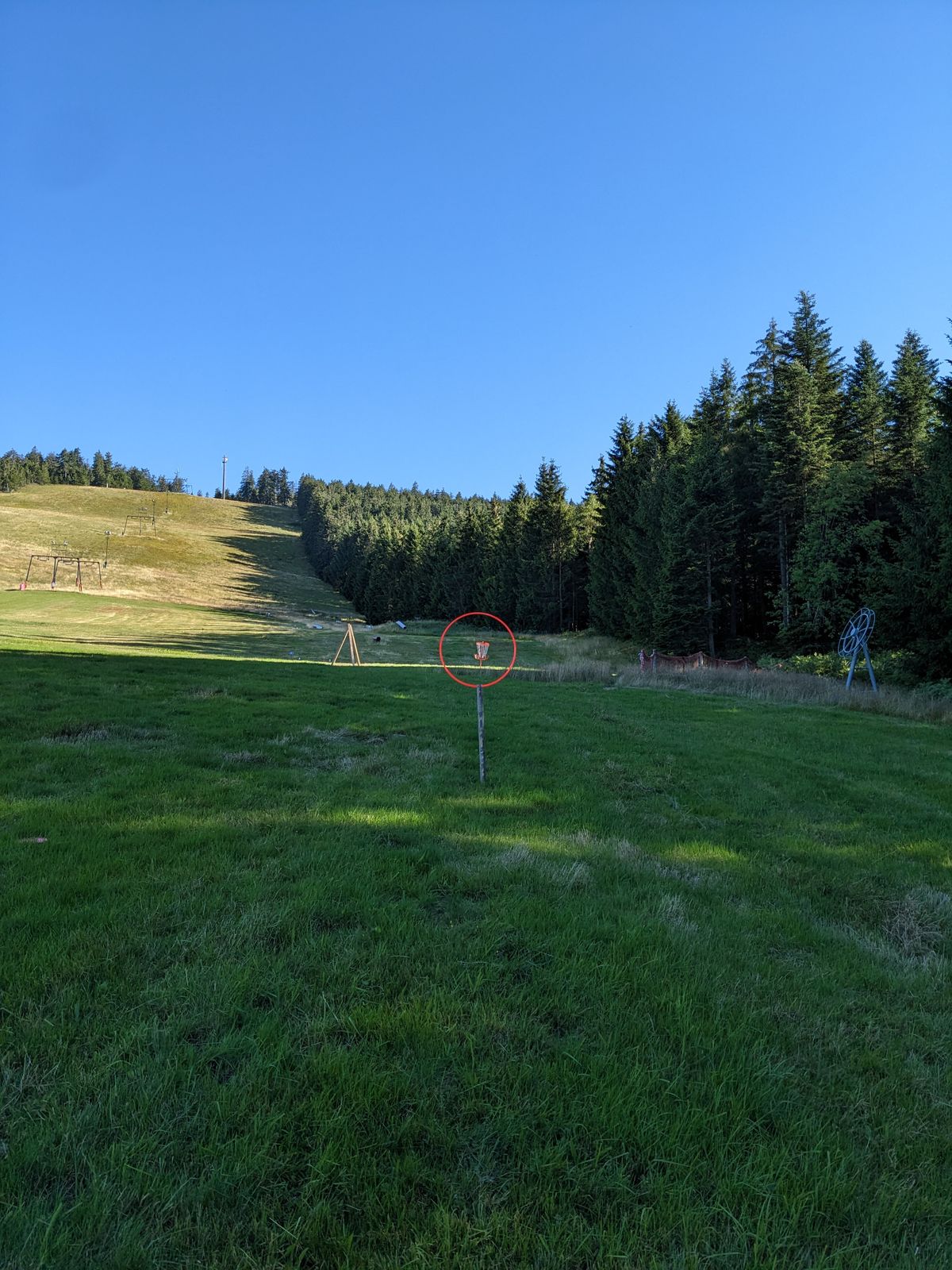 Blackforestaction FrisbeeGolf Bühl, Germany UDisc Disc Golf Course