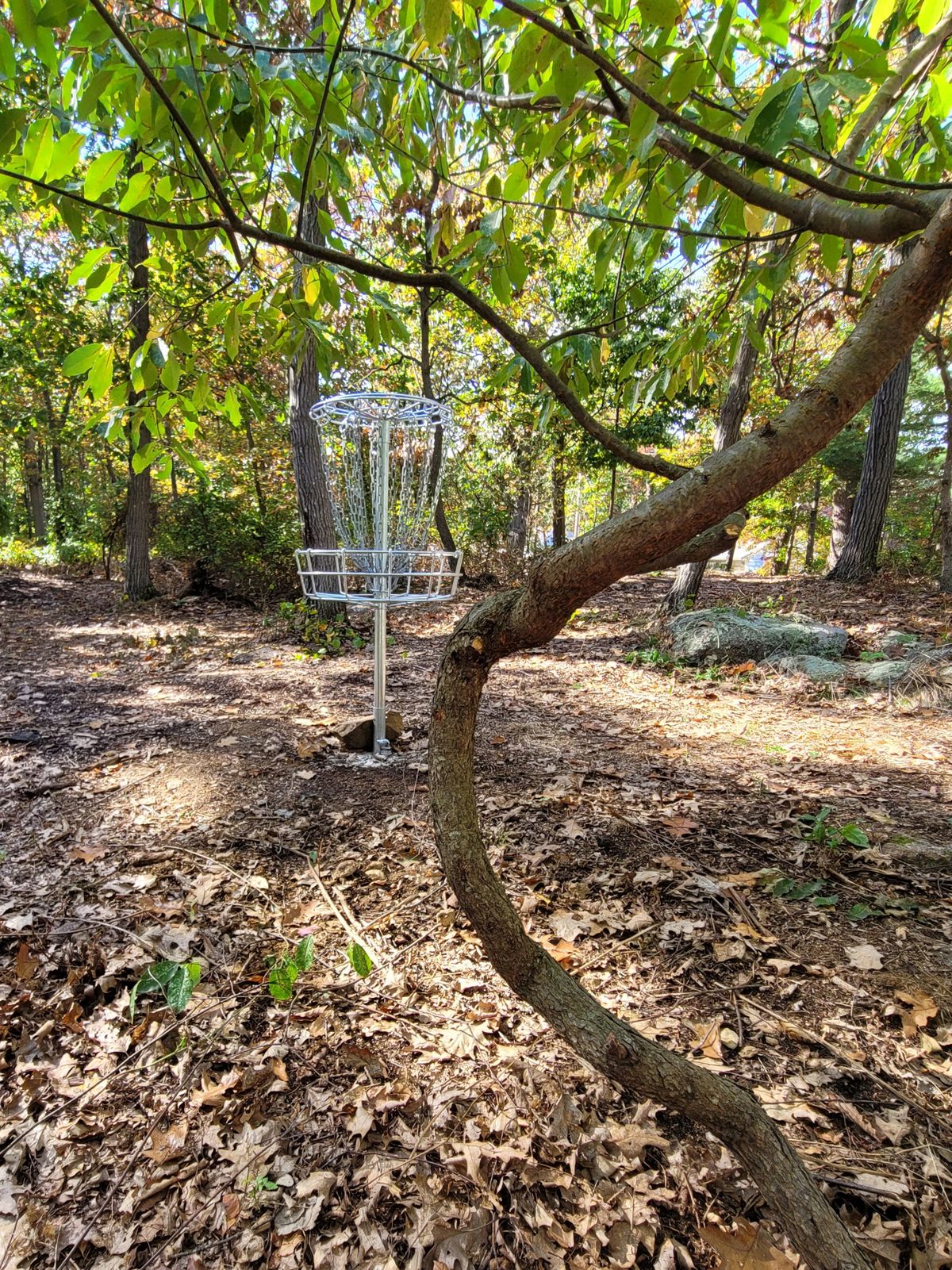 Faxon Park Disc Golf Quincy, MA UDisc Disc Golf Course Directory