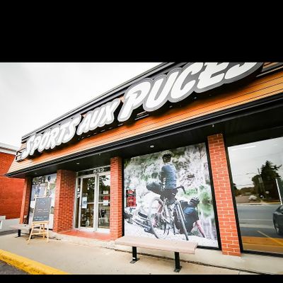 Venez nous voir en magasin pour vos Disc prêt du terrain