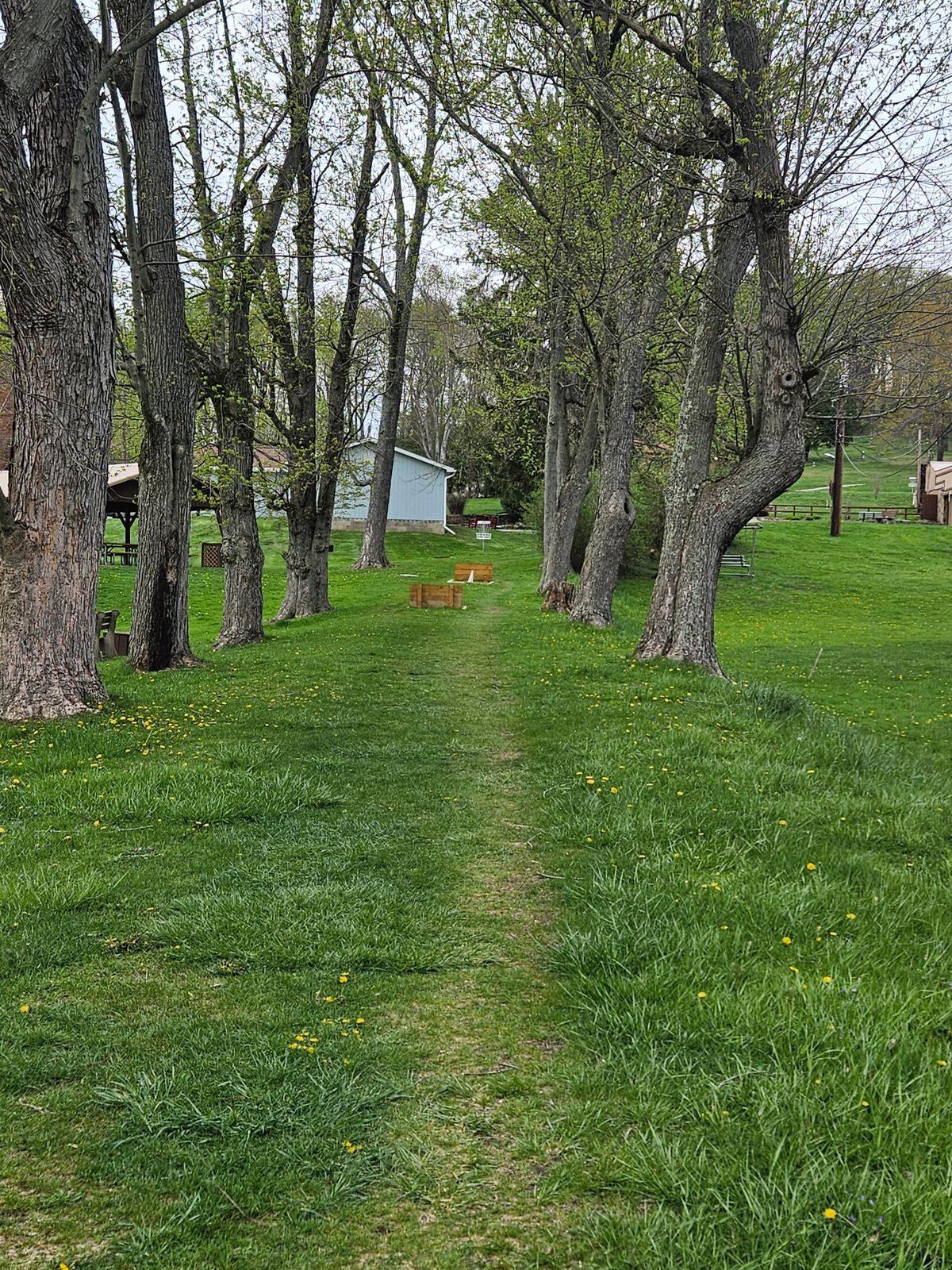 Slippery Rock Park Disc Golf Course Course Photos