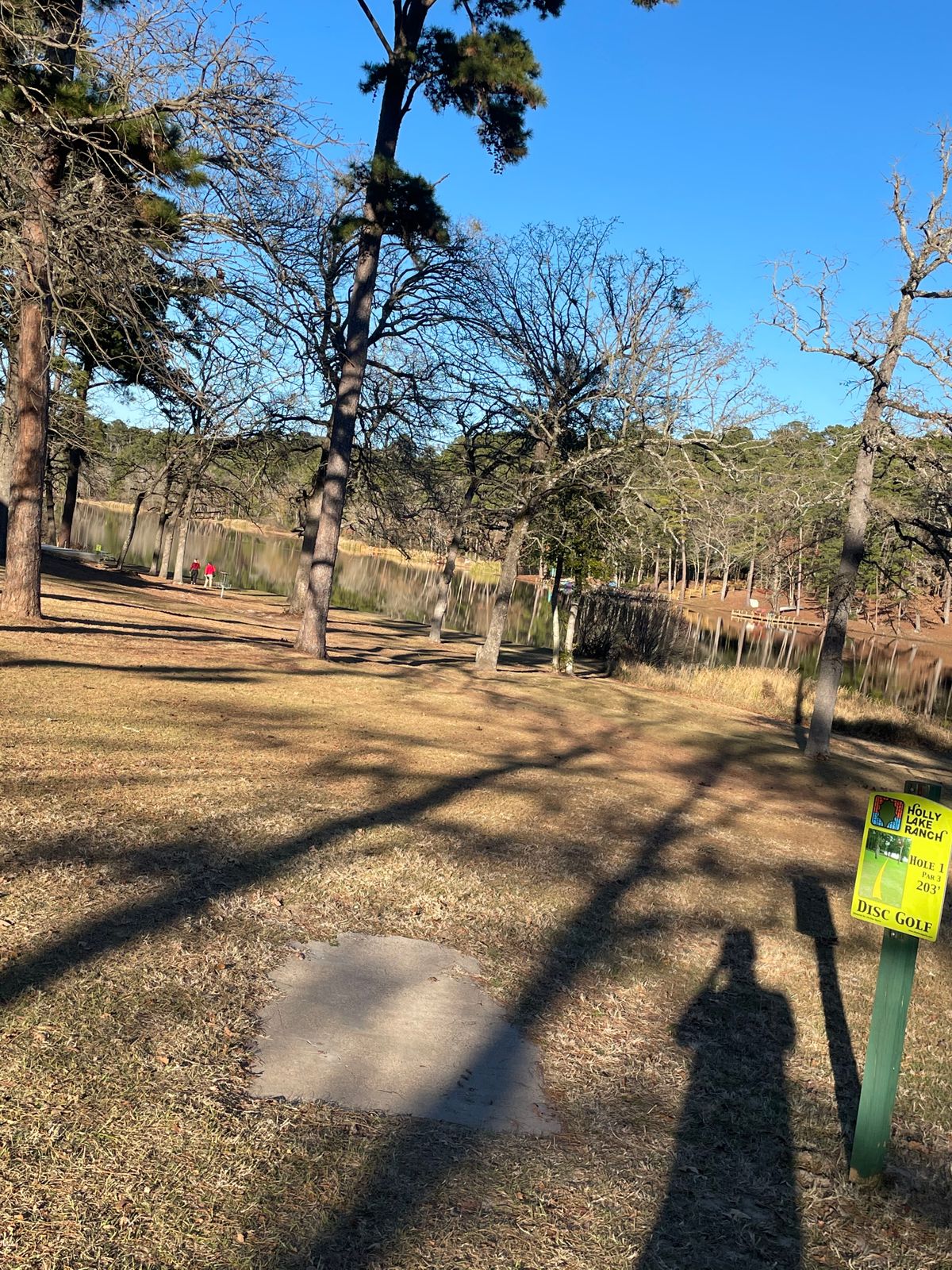 Holly Lake Ranch Gated Community Holly Lake Ranch, TX UDisc Disc