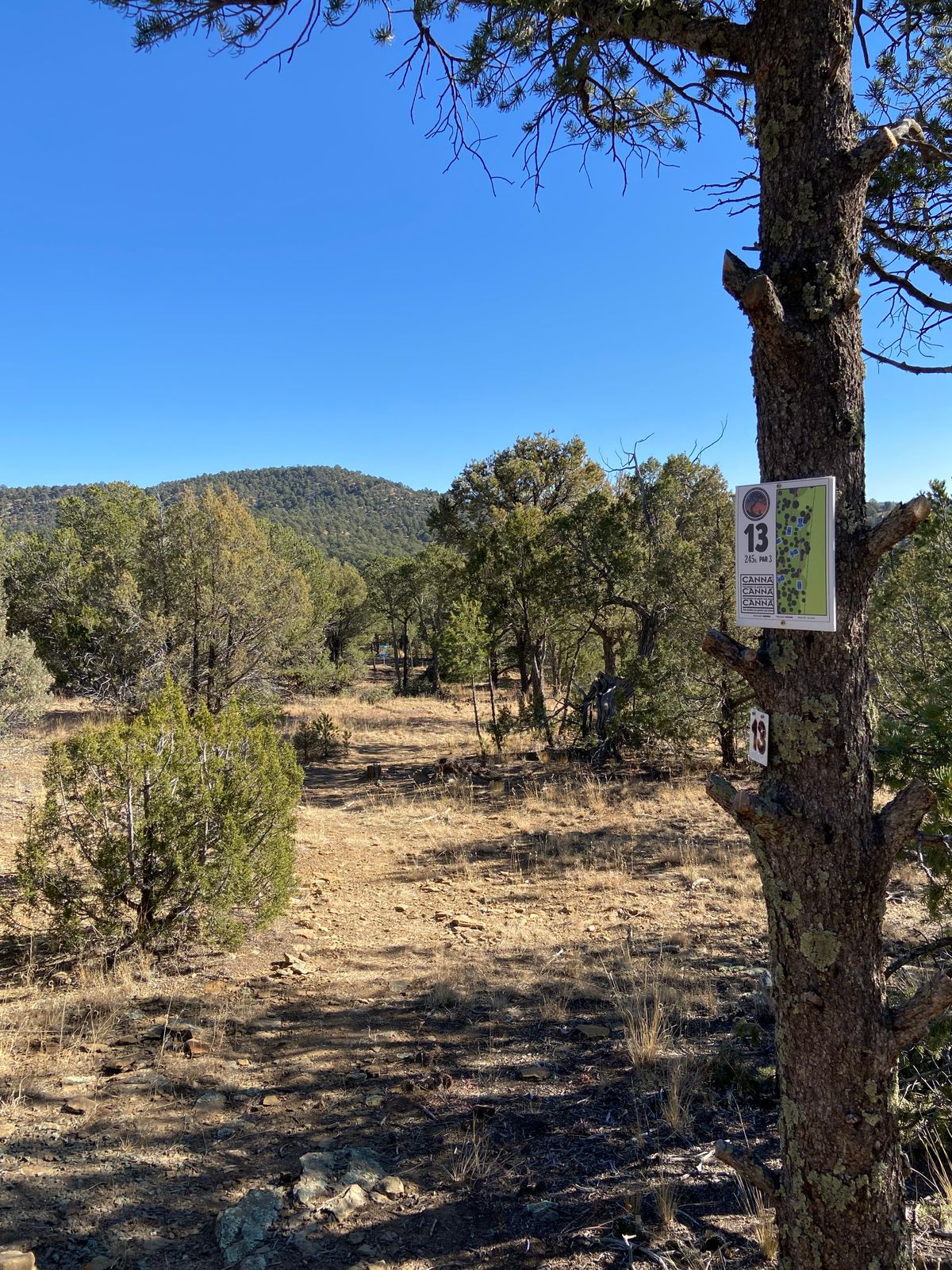 Twisted Cedars Dgc Cokedale, CO UDisc Disc Golf Course Directory