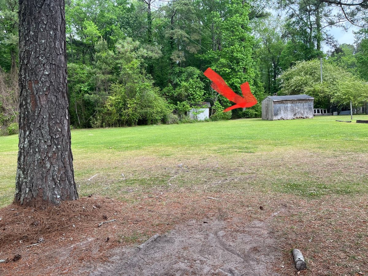 Backwoods Tavern Greenville, NC UDisc Disc Golf Course Directory