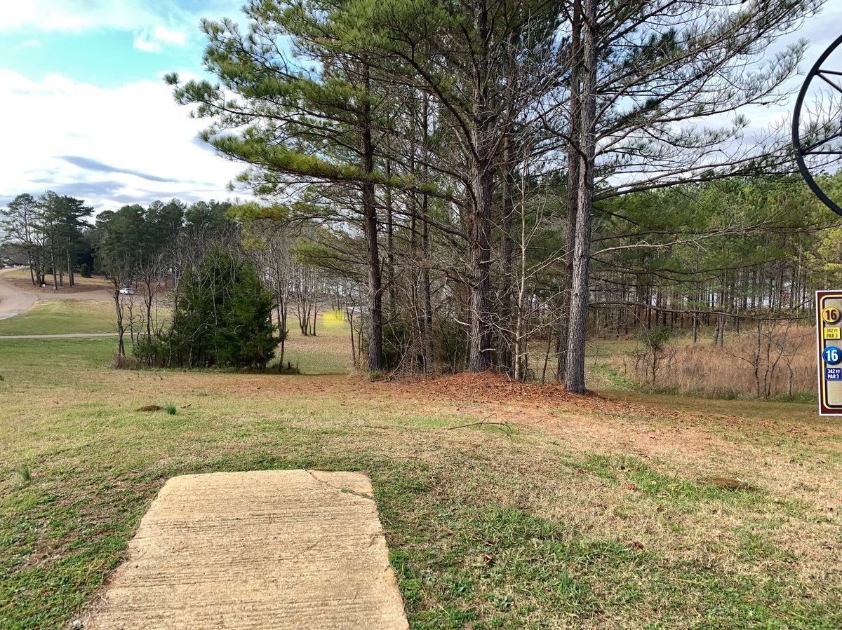 Old Warrior Run(trace Gold) Pontotoc, MS UDisc Disc Golf Course