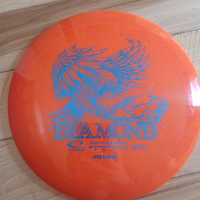 Circle Disc Golf