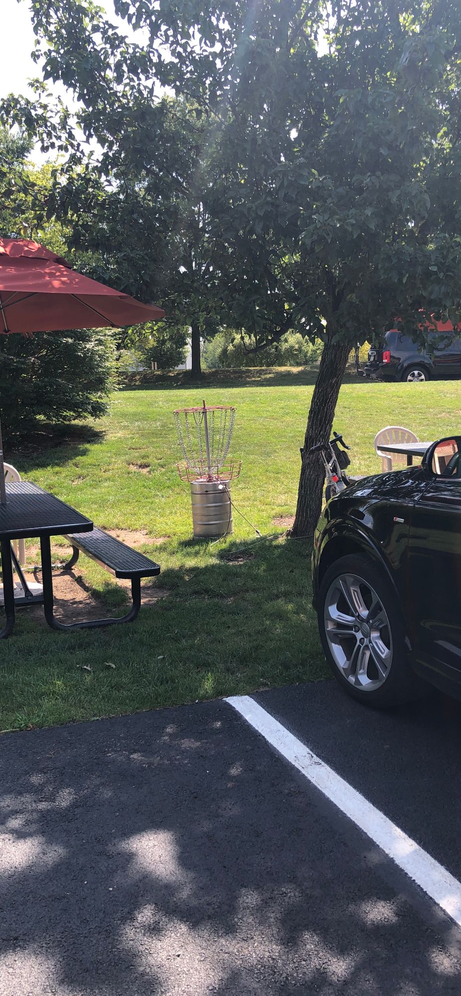 Slyfox Brewery Course Photos