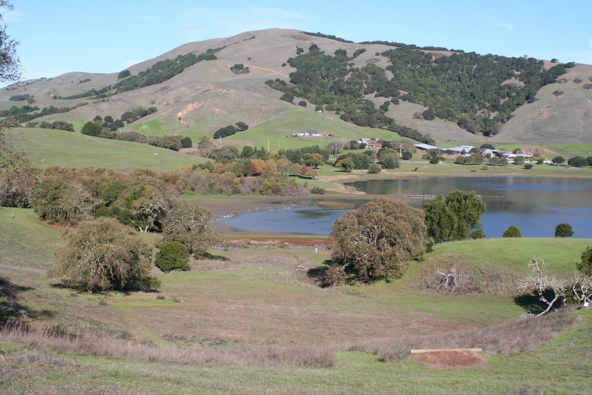 Stafford Lake County Park Novato CA UDisc Disc Golf Course 