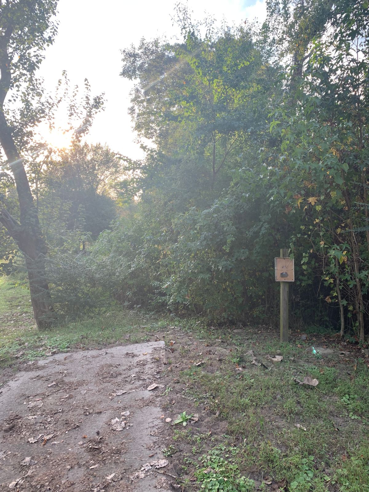 Ayden Park Ayden, NC UDisc Disc Golf Course Directory