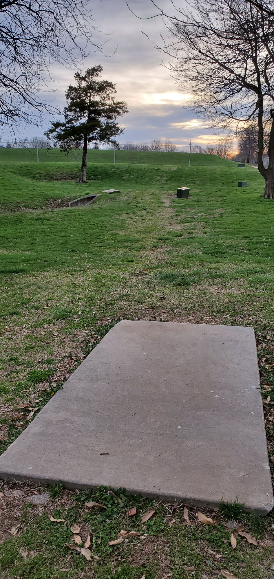 Springfield Disc Golf Your Guide To Disc Golf In Springfield Missouri