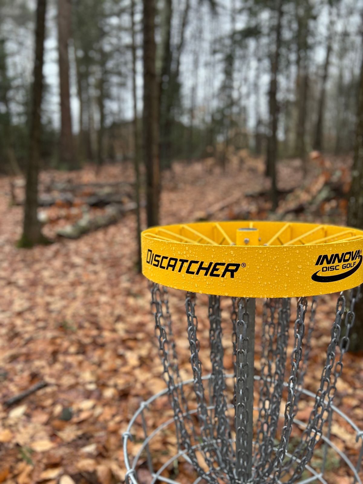 Freeport Fairgrounds Disc Golf Course Freeport, ME UDisc Disc Golf
