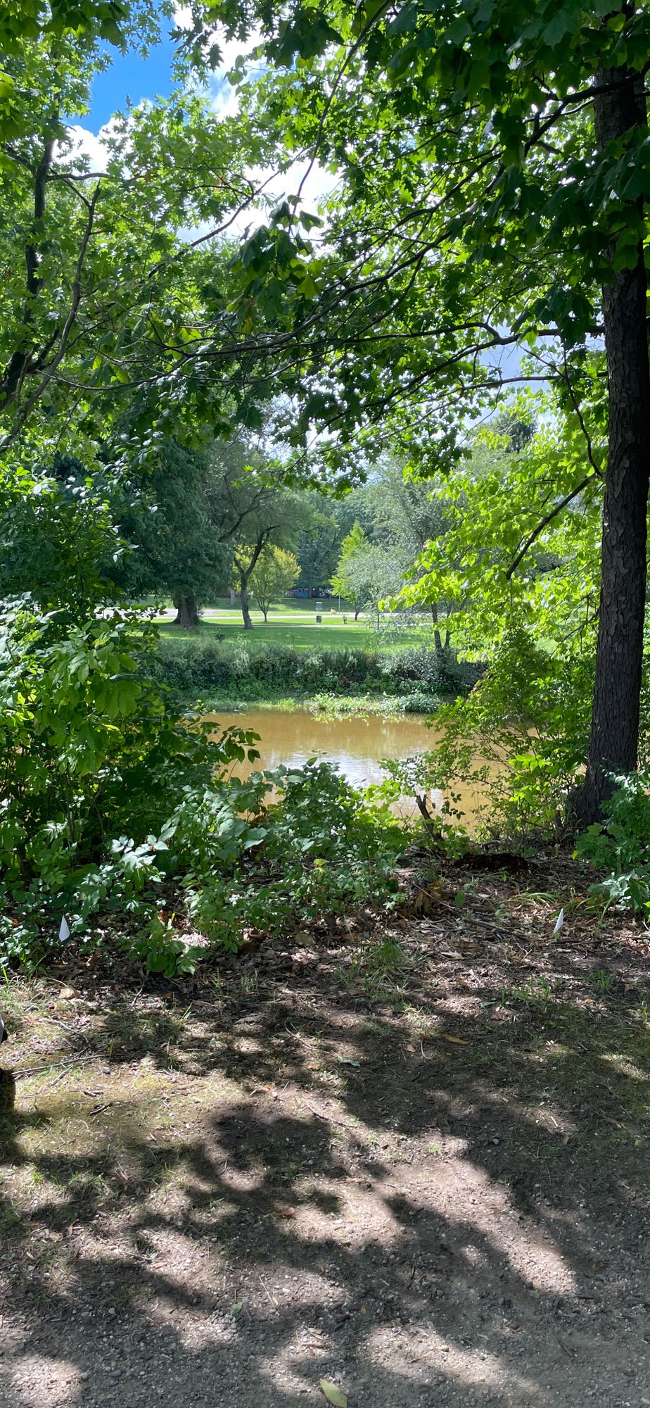McCurdy Park Corunna MI UDisc Disc Golf Course Directory UDisc