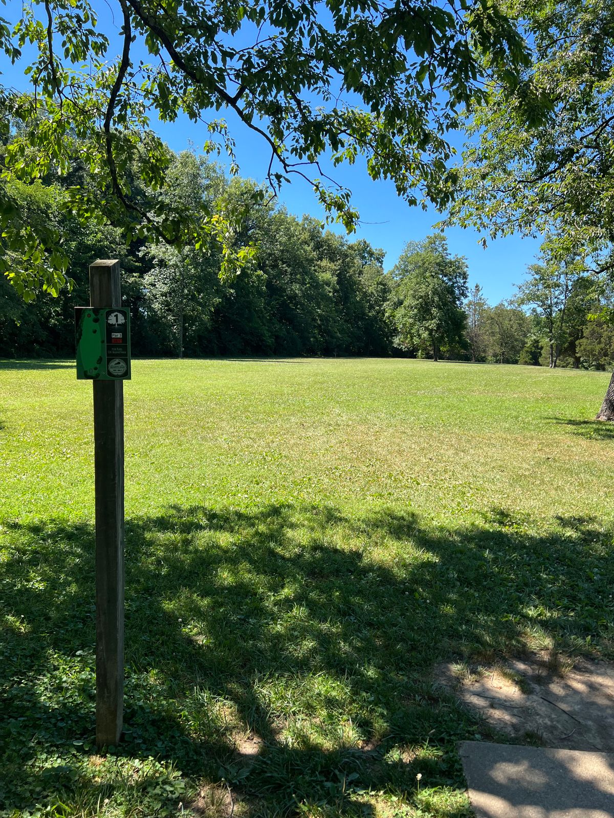 White Mills Disc Golf Your Guide to Disc Golf in White Mills