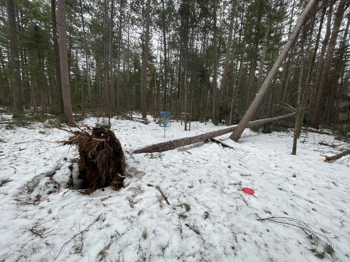 Gnesen Community Center Duluth, MN UDisc Disc Golf Course Directory