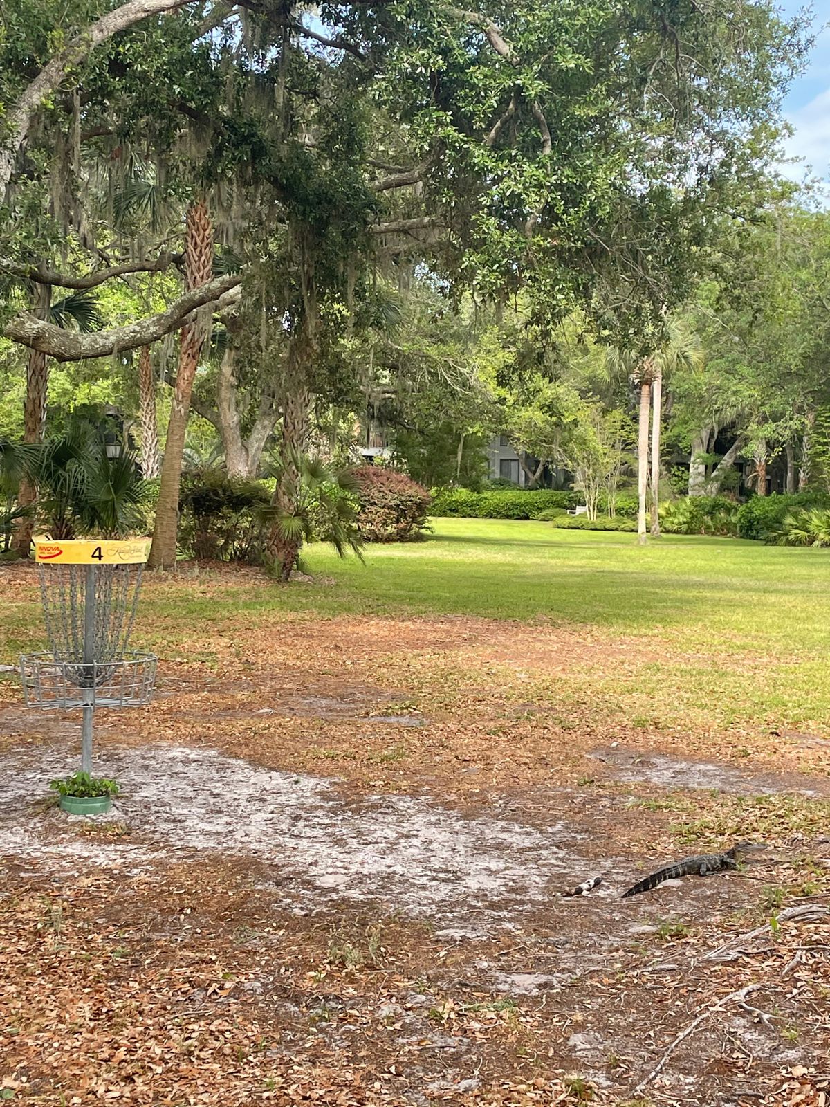 Night Heron Park Kiawah Island, SC UDisc Disc Golf Course Directory