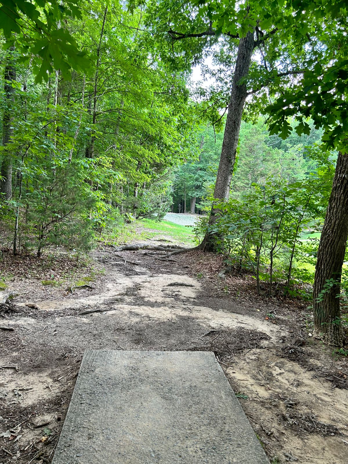 Cornwallis Road Park Durham, NC UDisc Disc Golf Course Directory