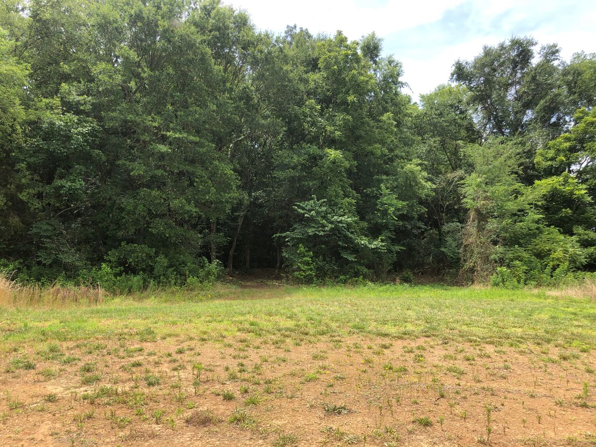 Southtown Wake Park Rock Hill, SC UDisc Disc Golf Course Directory