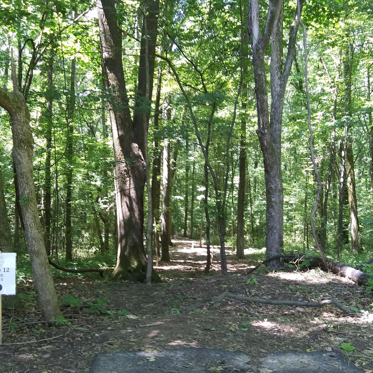 Kennedy Park Disc Golf Course Memphis, TN UDisc Disc Golf Course Directory