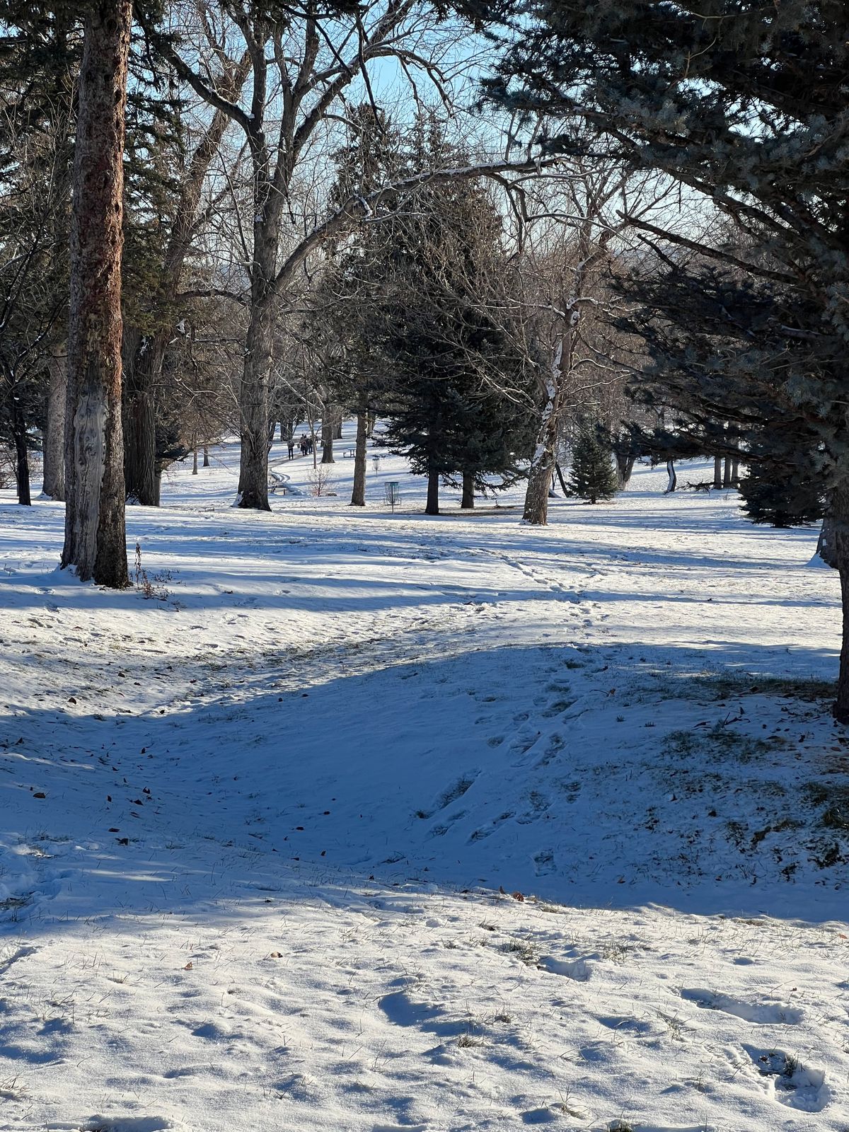 Pioneer Park Billings, MT UDisc Disc Golf Course Directory