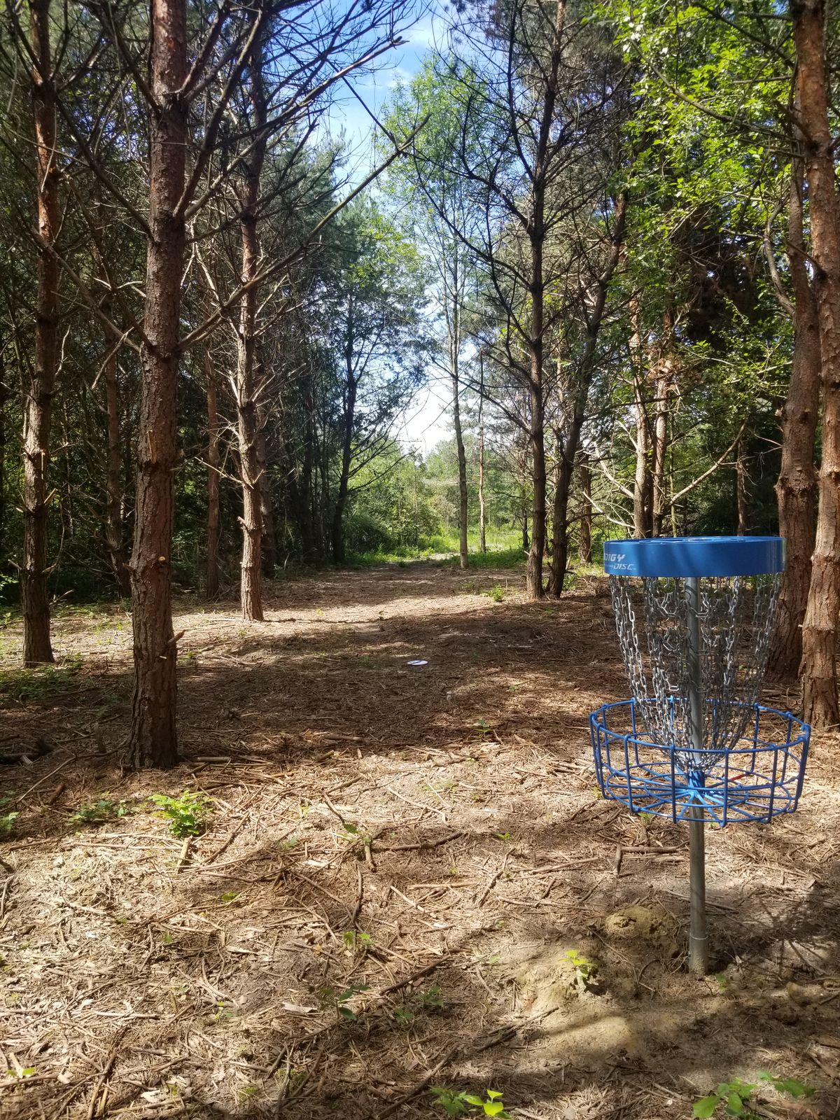 SHARA Disc Golf Course South Haven, MI UDisc Disc Golf Course Directory