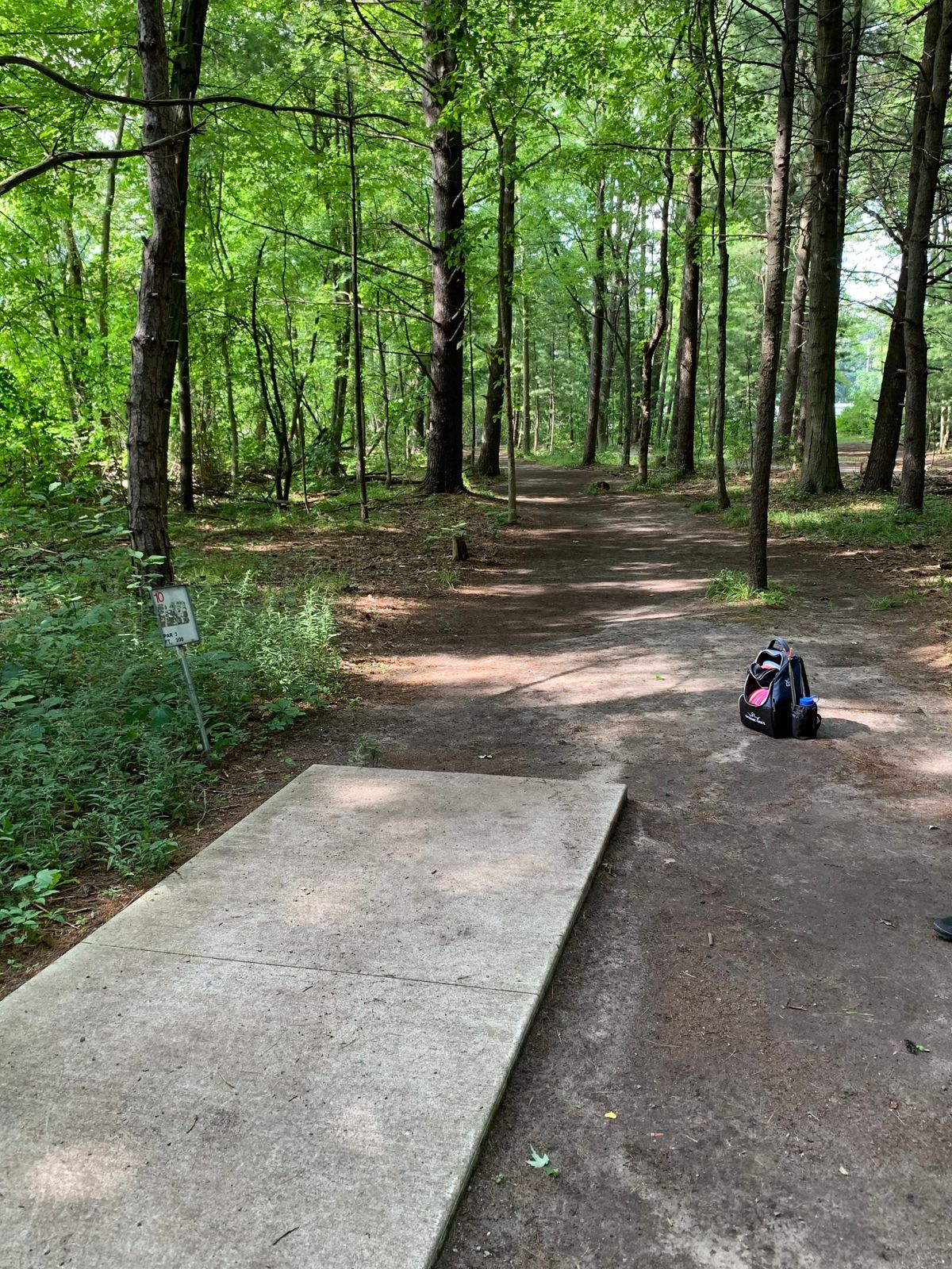 Richland Township Park Hemlock, MI UDisc Disc Golf Course Directory