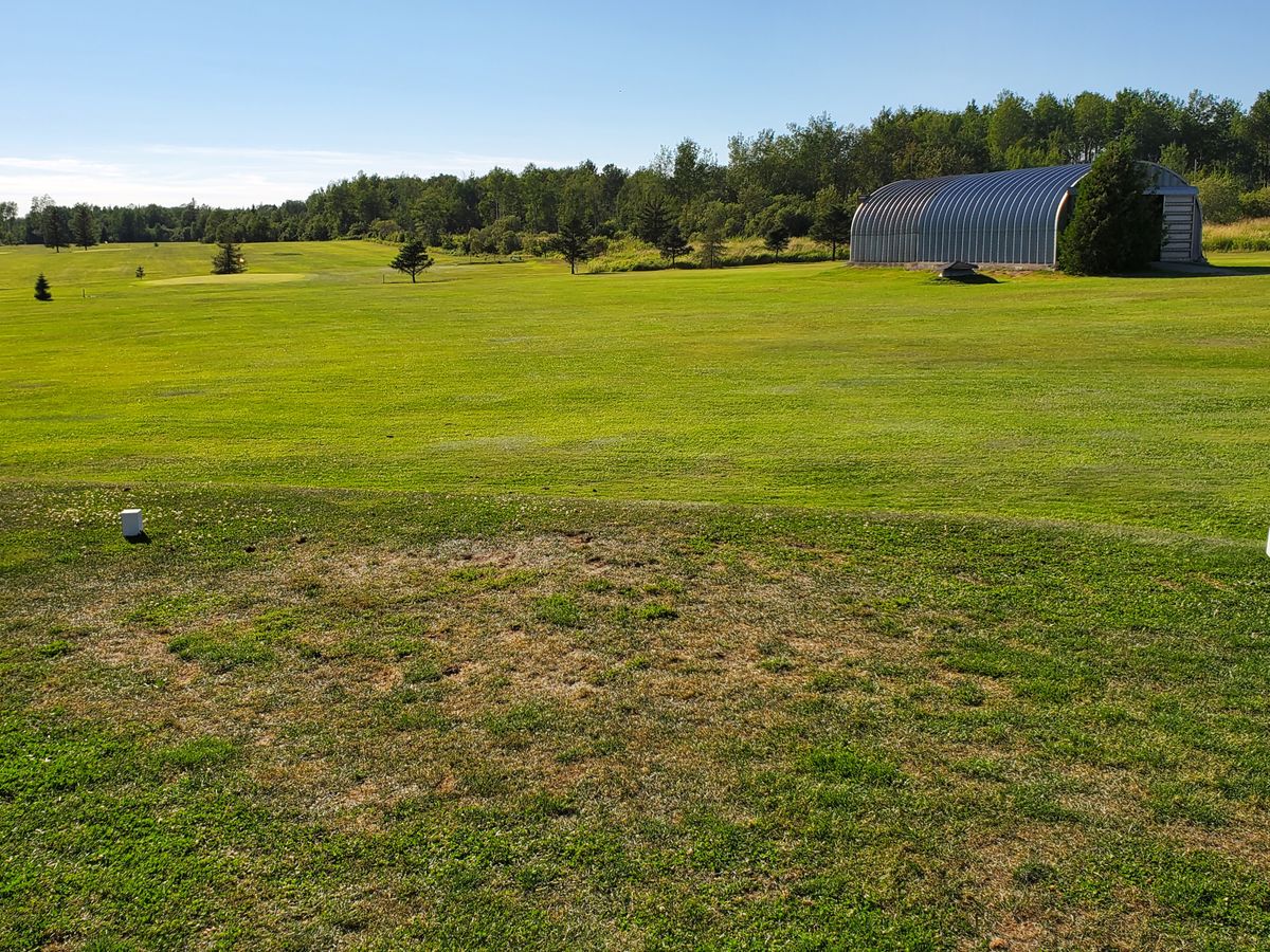 Golf EmBo RouynNoranda, QC, Canada UDisc Disc Golf Course Directory UDisc