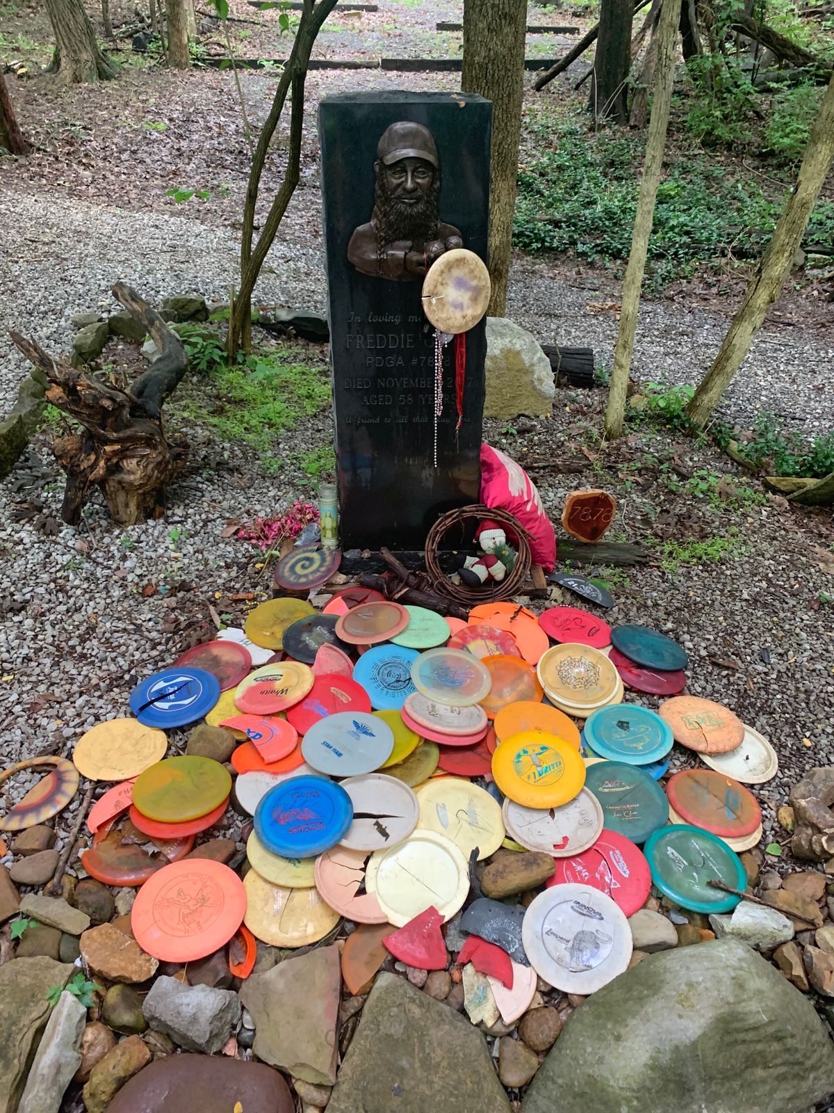 Nashville Disc Golf Your Guide to Disc Golf in Nashville, Tennessee