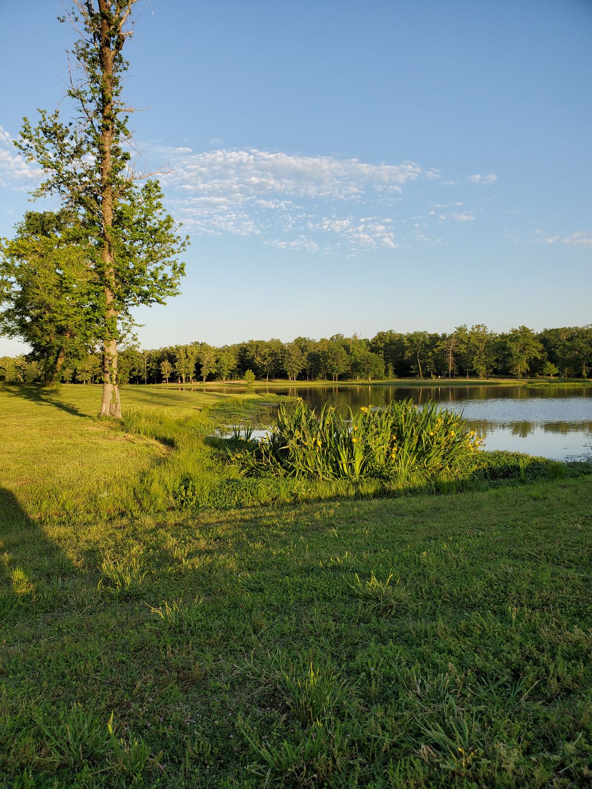 Selah Ranch DGC Lakeside Hagansport, TX UDisc Disc Golf Course