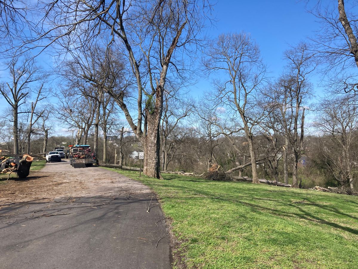 Naval Hill Shelby Park Nashville, TN UDisc Disc Golf Course Directory