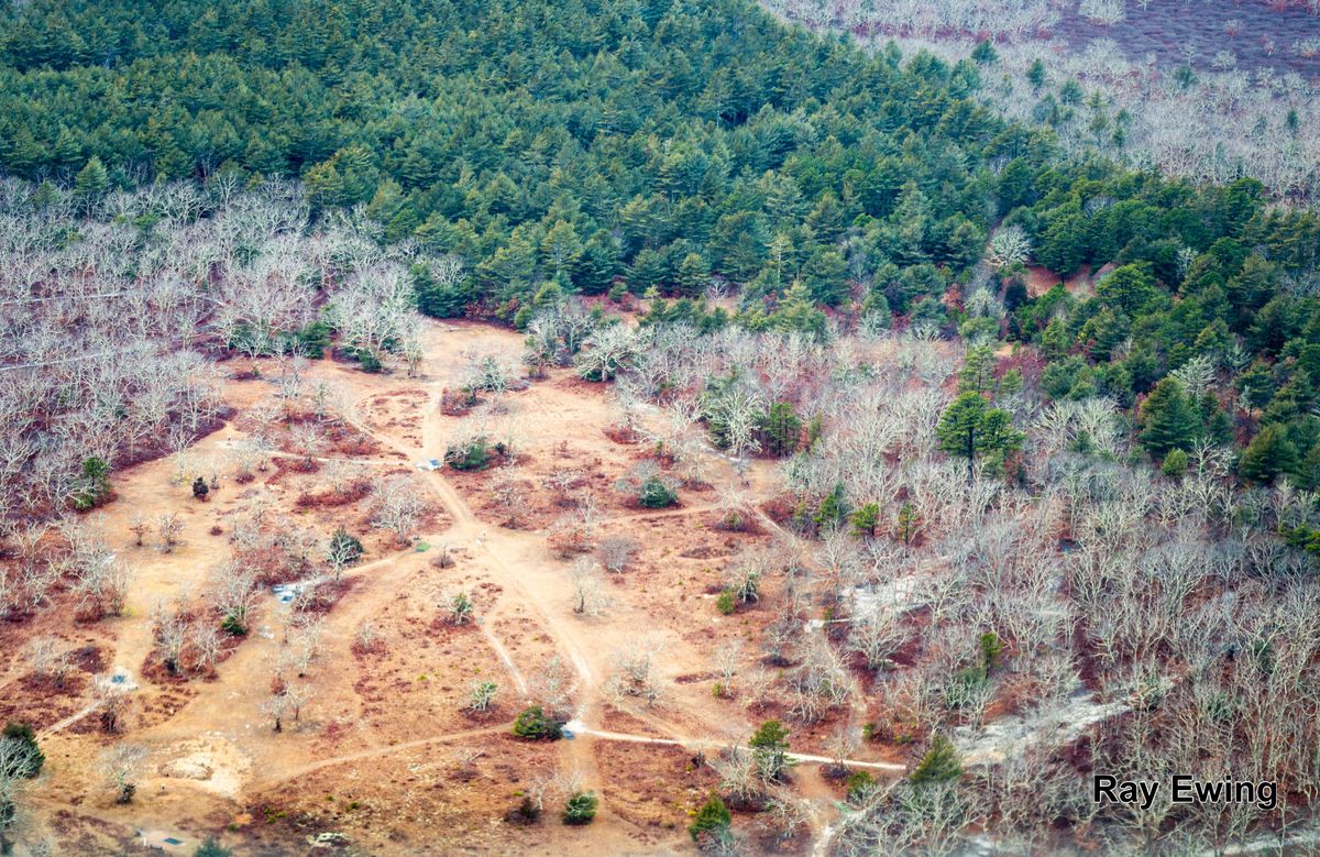 Martha's Vineyard Riverhead D.G.C. Edgartown, MA UDisc Disc Golf