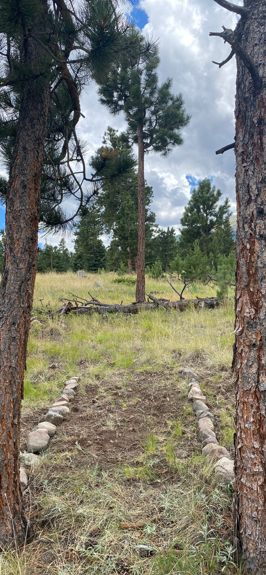 Horn Creek Westcliffe, CO UDisc Disc Golf Course Directory