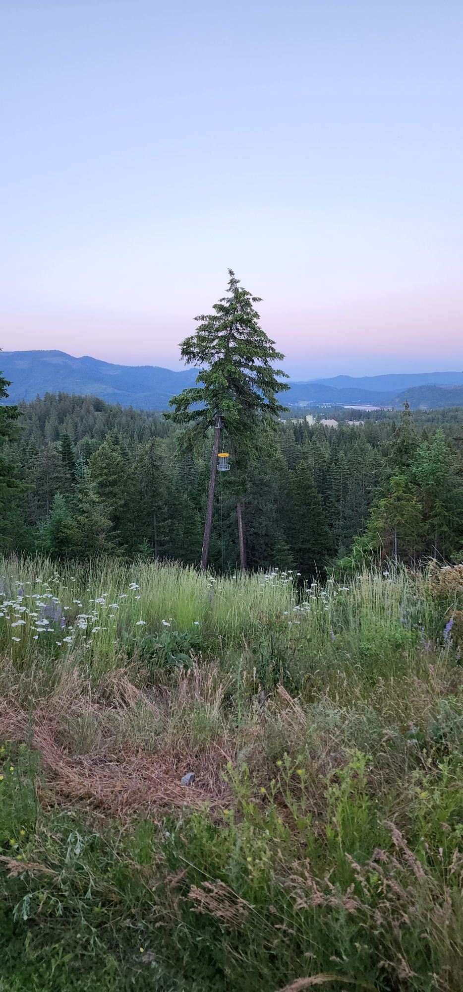 Priest River Disc Golf Your Guide to Disc Golf in Priest River, Idaho