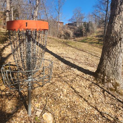 The Treehouz Disc Golf Outpost