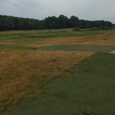 Blue Ribbon Pines Pro Shop