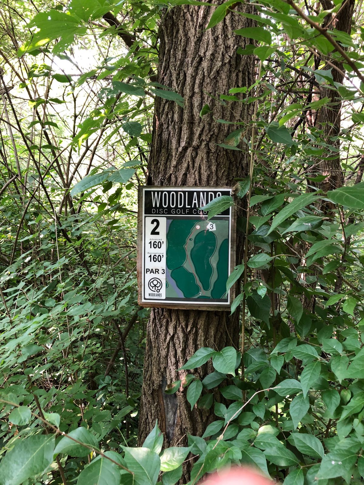 Woodlands Rockton, IL UDisc Disc Golf Course Directory