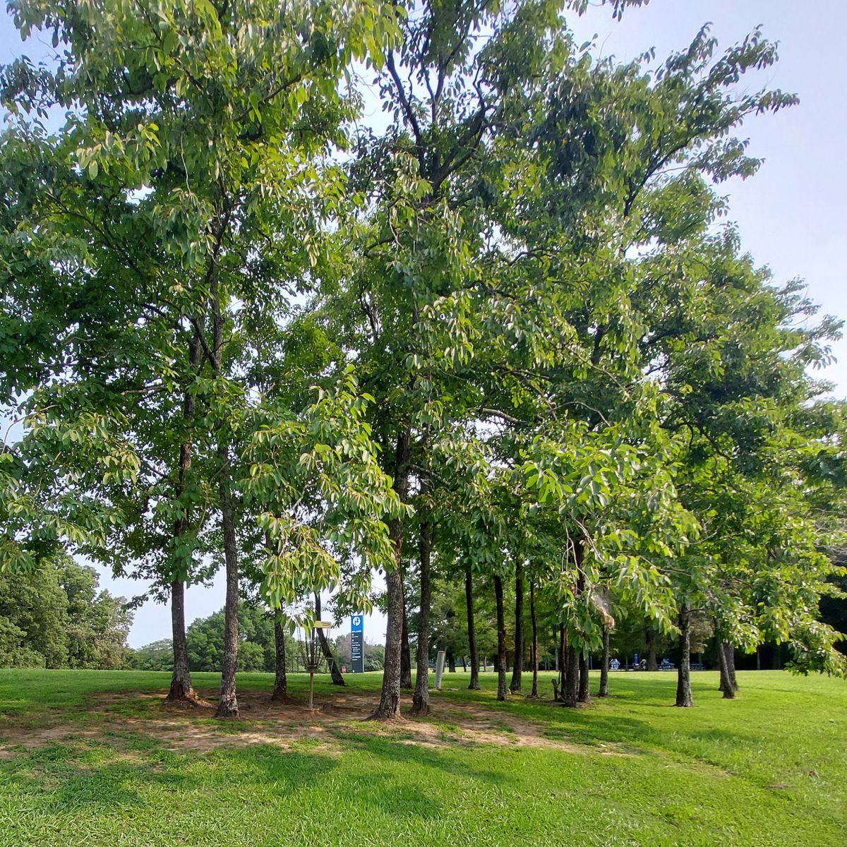 Shelby Farms Memphis, TN UDisc Disc Golf Course Directory