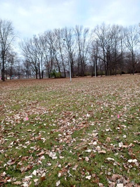 Nash Park Disc Golf Course Livonia MI UDisc Disc Golf Course 