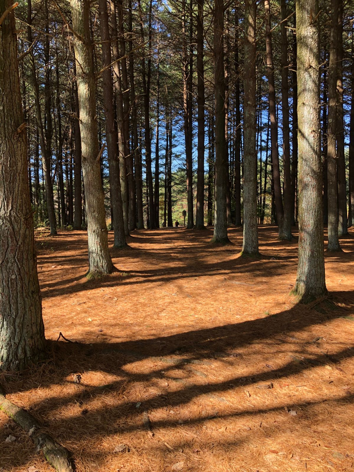 Sugar Hollow Bristol, VA UDisc Disc Golf Course Directory