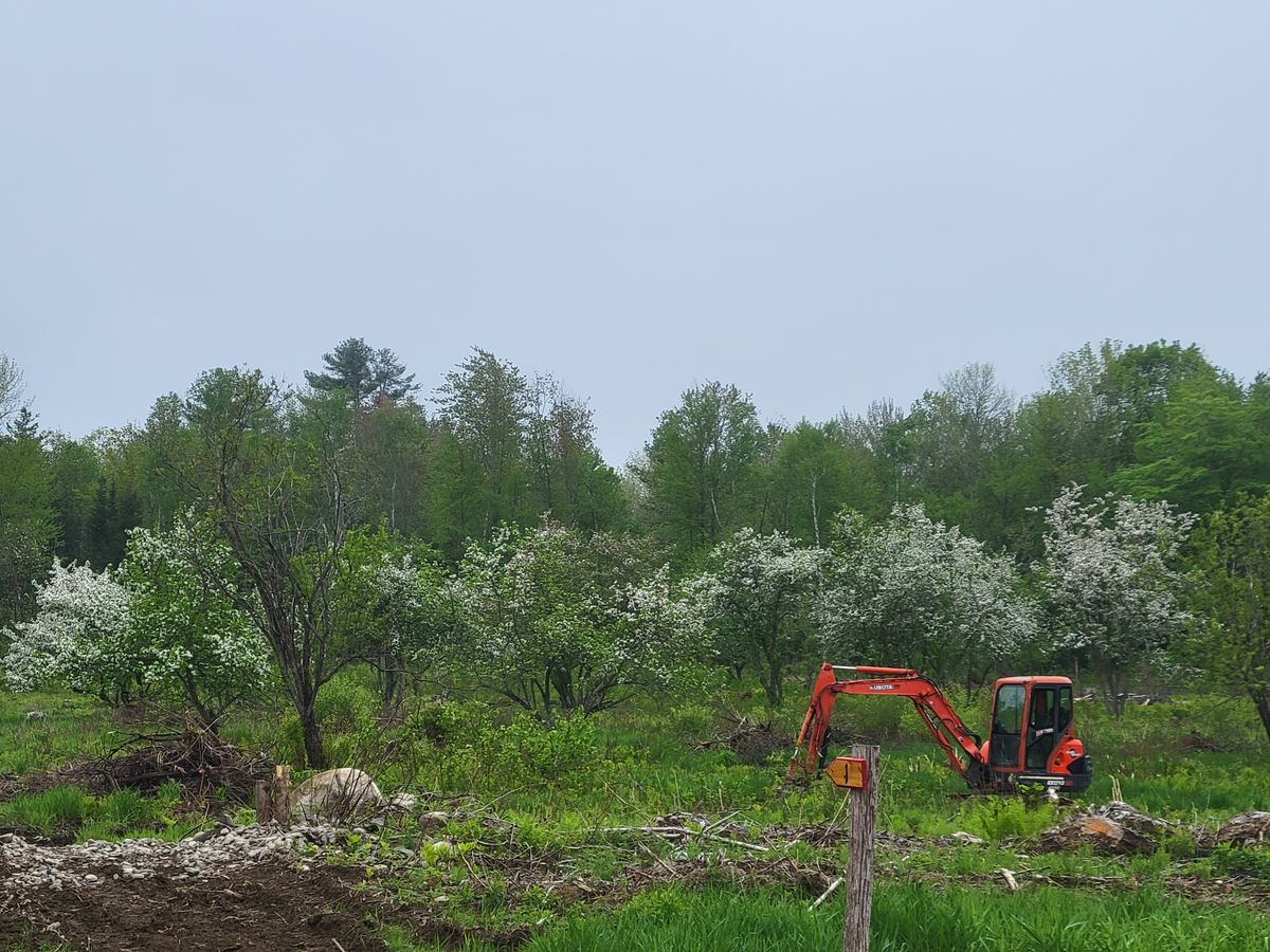 Dexter Disc Golf Course Dexter, ME UDisc Disc Golf Course Directory