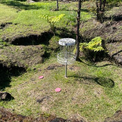 Lavalinks Pro Shop
