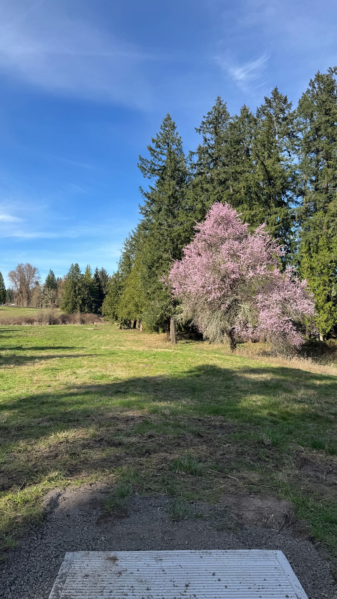 The Roots Dgc The Roots DGC - Warren, Oregon | UDisc Disc Golf Course Directory
