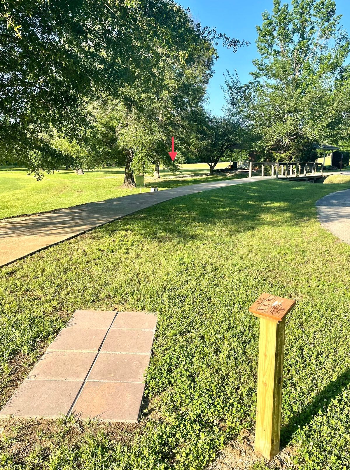 ROC Safari Tyler, TX UDisc Disc Golf Course Directory UDisc